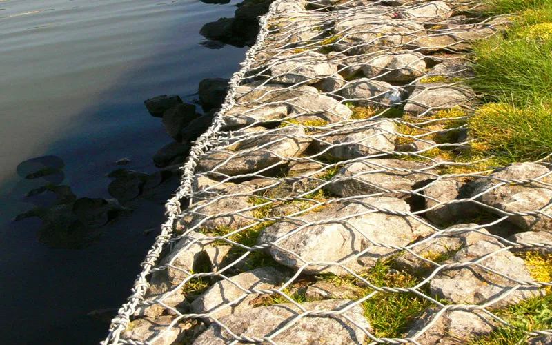 Ecological restoration and environmental protection