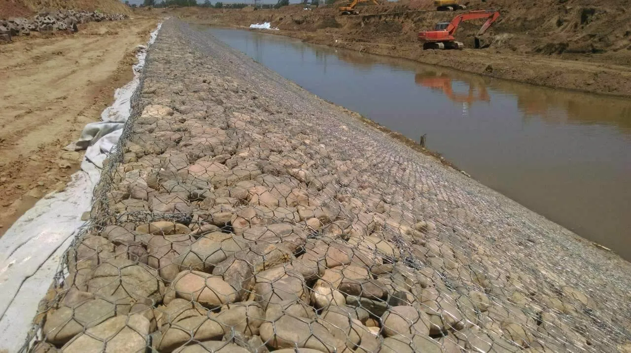 Urban greening projects and waterscape construction