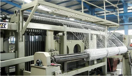 hexagonal wire mesh
