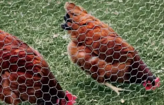 hexagonal wire mesh sizes